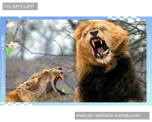 比利时与瑞典激战正酣谁能在这场对决中笑到最后 比利时与瑞典激战正酣谁能在这场对决中笑到最后